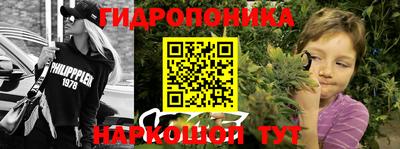 2c-b Будённовск
